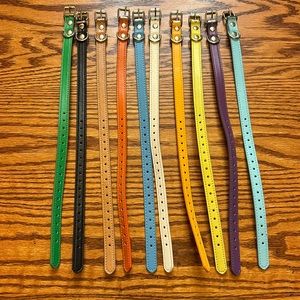 New Bundle of 10 Small Dog or Cat Collars